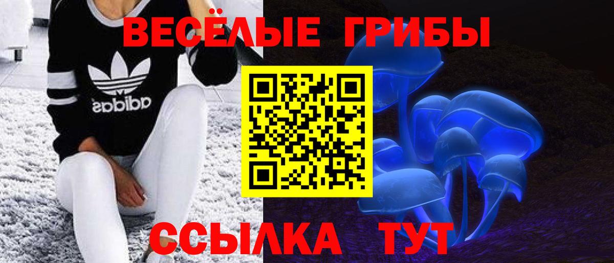 Галлюциногенные грибы MAGIC MUSHROOMS Донской
